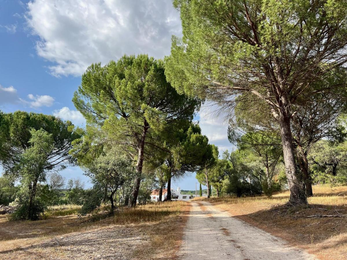 Fazenda Do Pomar By Trip2Portugal Villa Монтемор-о-Ново Екстериор снимка